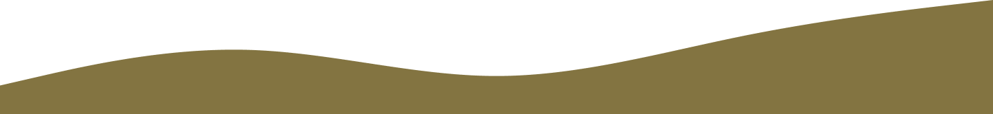 End of portfolio content